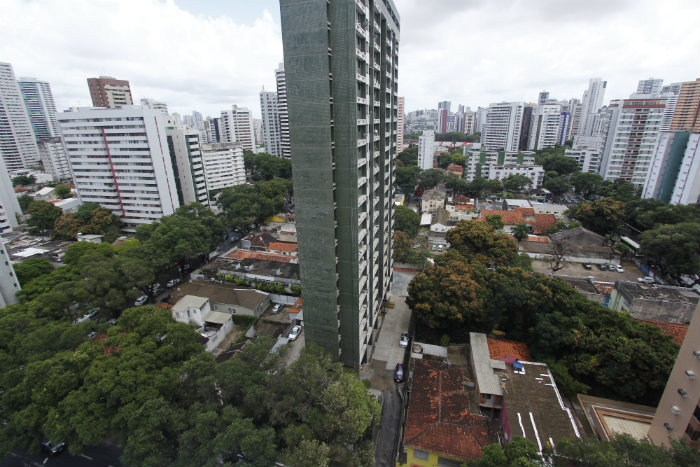 Oitizeiros, que formam túneis verdes em alguns pontos, são da espécie mais plantada no bairro da Zona Norte. Foto: Thalyta Tavares/Esp. DP/