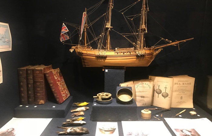 Reserve pelo menos três horas para percorrer o Museu de Oceanografia Univali. Foto: Ana Paula Neiva/DP