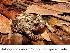 Imagem: UFPE/Divulgação/ Imagem: UFPE/Divulgação/
