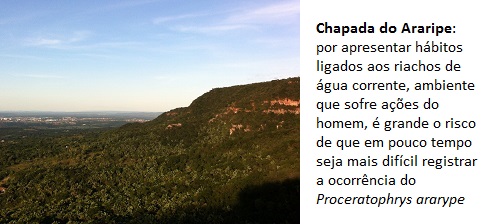 UFPE/Divulgação