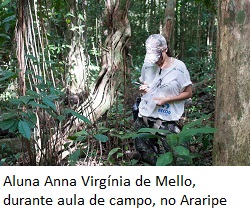 UFPE/Divulgação