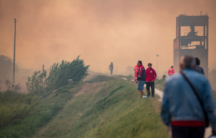 Foto: FEDERICO SCOPPA / AFP/ Foto: FEDERICO SCOPPA / AFP/