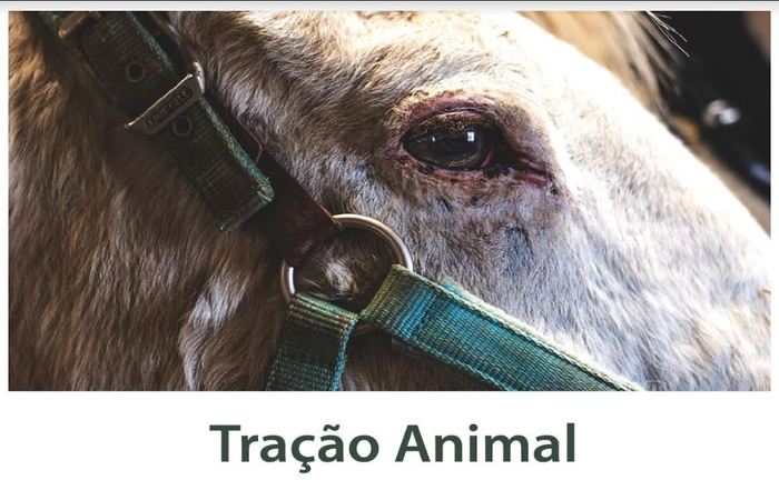 Imagem: Divulgação/MPPE/