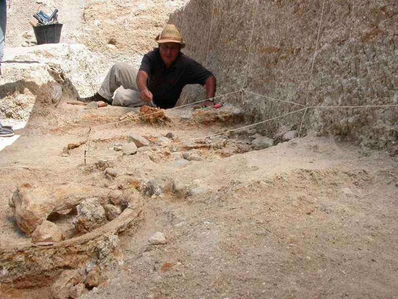 O sítio Ain Boucherit tem indícios de primeiras tecnologias usadas pelos hominídeos para se alimentar: ossos e pedras bem preservados. Foto: Mohamed Sahnouni/Divulgação/ O sítio Ain Boucherit tem indícios de primeiras tecnologias usadas pelos hominídeos para se alimentar: ossos e pedras bem preservados. Foto: Mohamed Sahnouni/Divulgação/