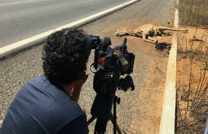 Cenas mostram carcaças em decomposição e jegues esqueléticos que vagam pelo perímetro urbano. Foto: Na Contramão/Divulgação