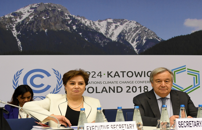 Foto: Janek SKARZYNSKI / AFP/ Foto: Janek SKARZYNSKI / AFP/