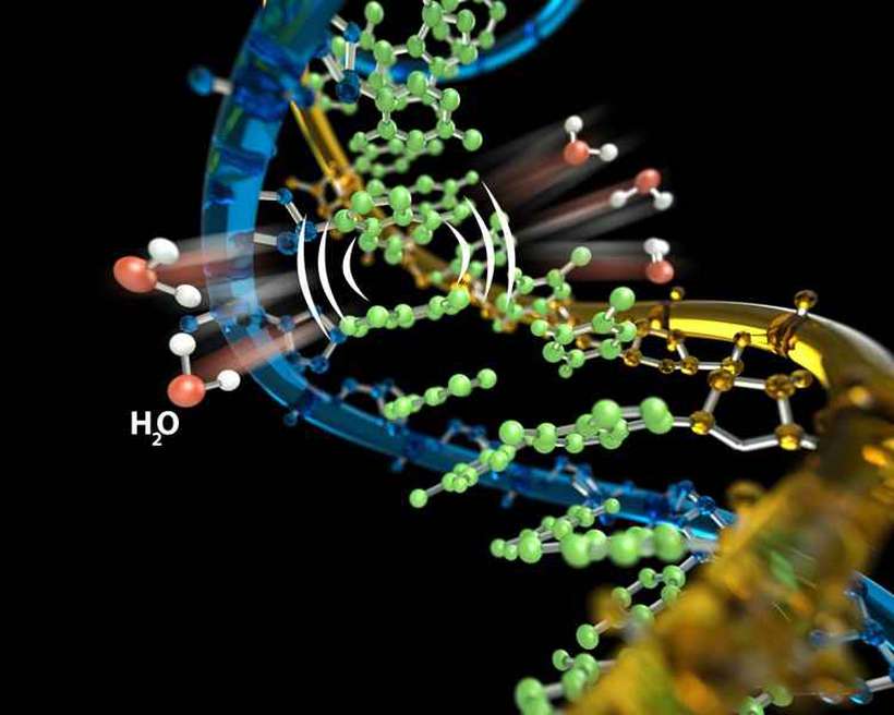 Molécula de DNA. Foto: UCSB/Divulgação Ciência/ Molécula de DNA. Foto: UCSB/Divulgação Ciência/