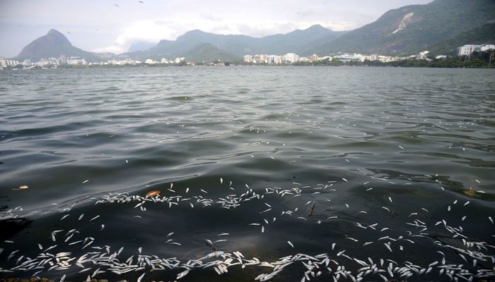Foto: Tânia Rêgo/Agência Brasil/ Foto: Tânia Rêgo/Agência Brasil/
