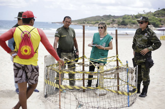 &Aacute;rea onde o ninho foi encontrado est&aacute; isolada. Foto: Pedro Batista/Divulga&ccedil;&atilde;o./
