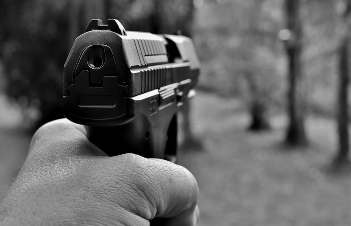 As despesas incluem a compra do armamento, da munição e regularização. Foto: Reprodução/Pixabay/ As despesas incluem a compra do armamento, da munição e regularização. Foto: Reprodução/Pixabay/