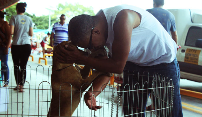 Feira de animais acontece mensalmente. Foto: Maria Clara Amorim/ Feira de animais acontece mensalmente. Foto: Maria Clara Amorim/