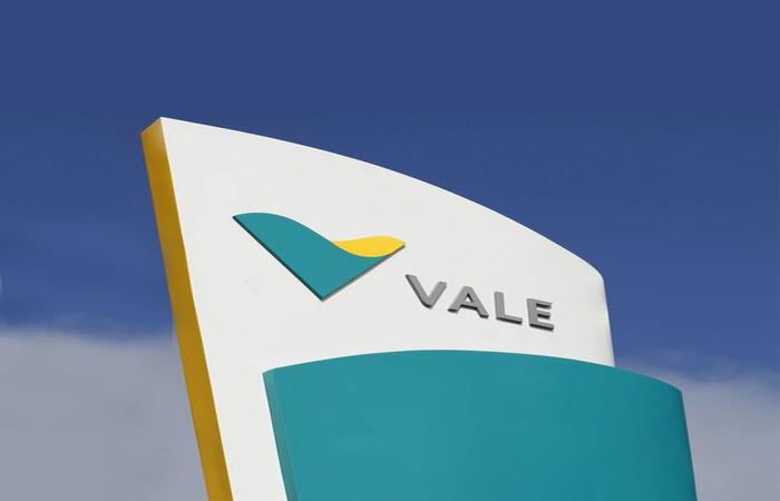 Foto: Reprodução/Facebook Vale/