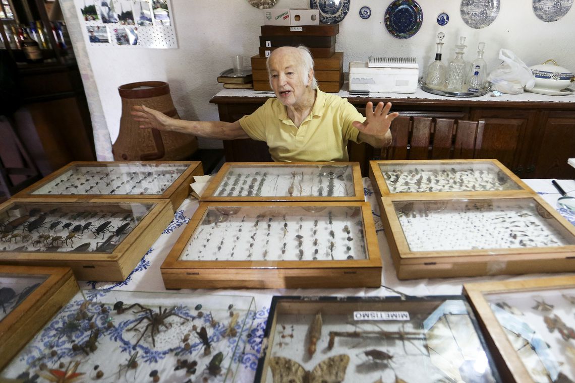 Material sai amanh&atilde; para compor acervo de museu destru&iacute;do por inc&ecirc;ndio. Foto: Marcelo Camargo/Ag&ecirc;ncia Brasil/