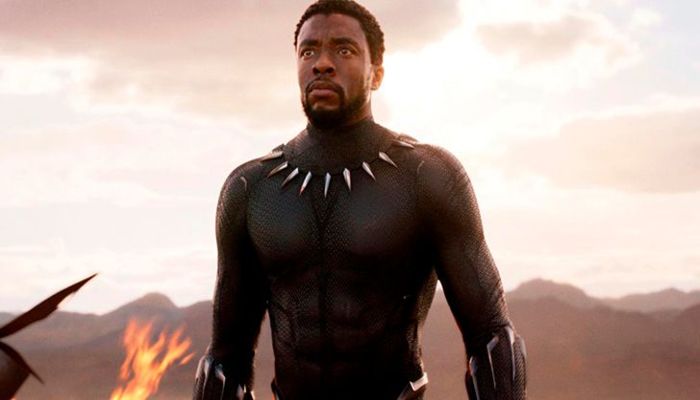 Chadwick Boseman em Pantera Negra. Foto: Reprodução/Marvel