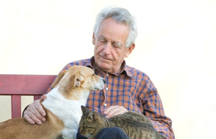 Foto: Reprodução/iStock/
