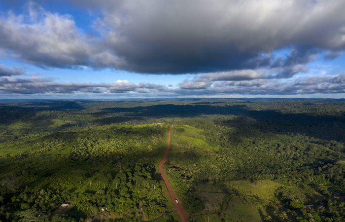 O Brasil foi o país que perdeu mais superfície de florestas primárias, à frente da RDC e da Indonésia. Foto: Mauro Pimentel / AFP/ O Brasil foi o país que perdeu mais superfície de florestas primárias, à frente da RDC e da Indonésia. Foto: Mauro Pimentel / AFP/