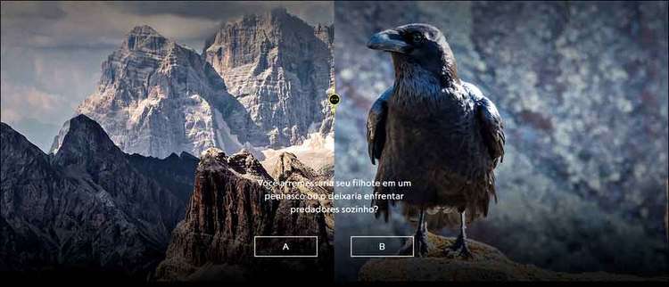 O desafio de animais para vencer a morte dá o tom a Planeta hostil, na National Geographic. Foto: National Geographic/Divulgação/ O desafio de animais para vencer a morte dá o tom a Planeta hostil, na National Geographic. Foto: National Geographic/Divulgação/