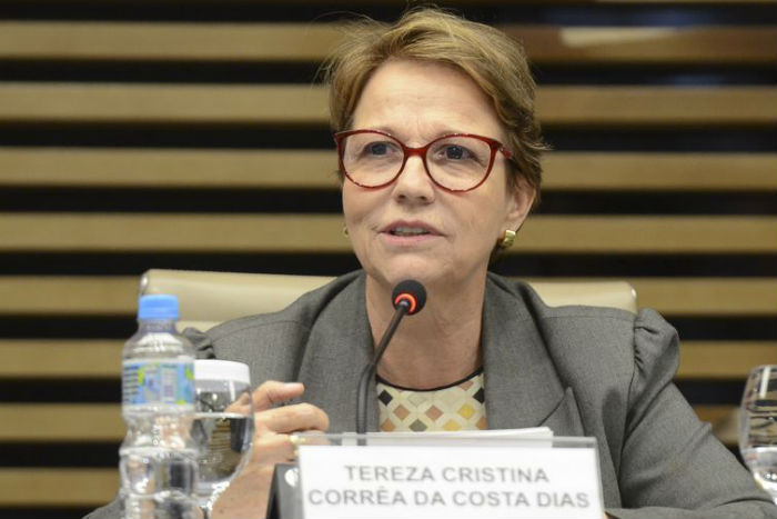 A ministra da Agricultura, Pecuária e Abastecimento, Tereza Cristina. Foto: Rovena Rosa/Agência Brasil/ A ministra da Agricultura, Pecuária e Abastecimento, Tereza Cristina. Foto: Rovena Rosa/Agência Brasil/