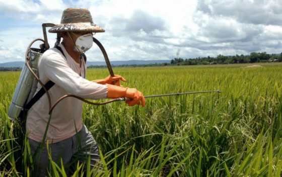 Foto: Arquivo/ Agência Brasil/ Foto: Arquivo/ Agência Brasil/