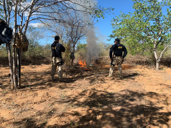 Foto: PRF/Divulgação./