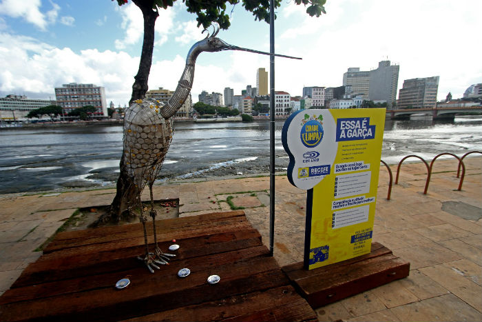 Garça está instalada no Cais da Alfândega. Foto: Bruna Costa/Esp.DP./ Garça está instalada no Cais da Alfândega. Foto: Bruna Costa/Esp.DP./