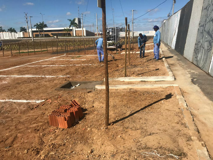 Apenados dedicam-se, principalmente, à limpeza e varrição. Foto: Divulgação/