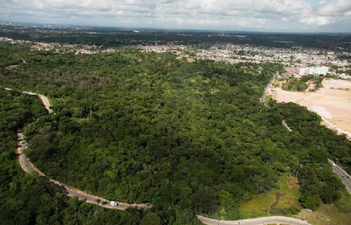 Foto: Divulgação Prefeitura de Paulista./ Foto: Divulgação Prefeitura de Paulista./