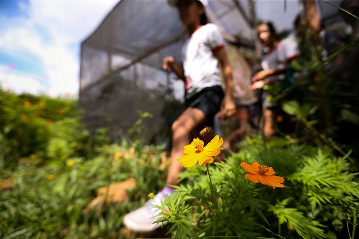 Foto: Marcelo Camargo/Agência Brasil/ Foto: Marcelo Camargo/Agência Brasil/