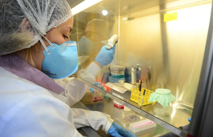 De acordo com o CNPq, as novas bolsas da Chamada Universal 28/2018 também foram suspensas no início do ano. Foto: Rovena Rosa/Agência Brasil./