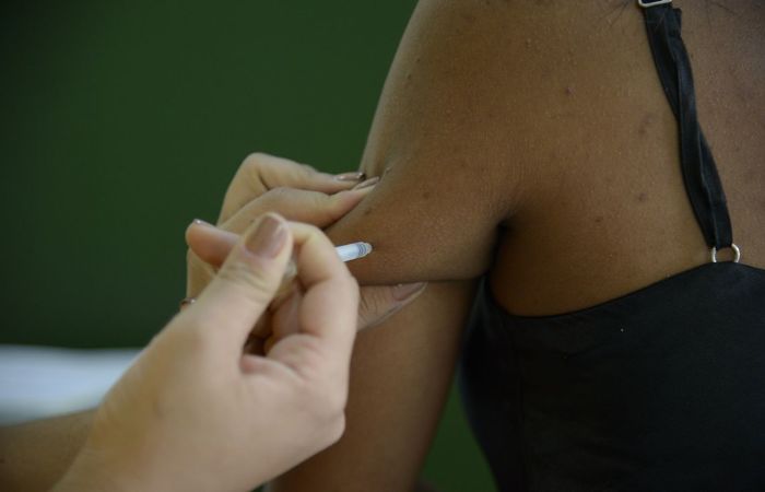 A cada 100 pessoas que são picadas por mosquitos infectados com o vírus, 10% desenvolverão sintomas da doença, e 30% podem morrer. Foto: Agência Brasil/