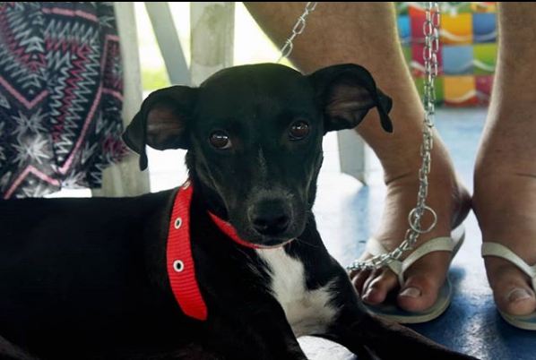 Foto: Reprodu&ccedil;&atilde;o Instagram/