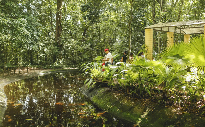 Na solenidade ser&aacute; inaugurada uma cole&ccedil;&atilde;o, uma trilha e um aplicativo. Foto: Andr&eacute; Rego Barros/Divulga&ccedil;&atilde;o/