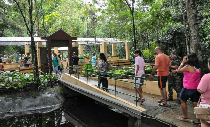Em 2019, o Jardim Bot&acirc;nico recebeu 36 mil visitantes. Foto: Andr&eacute;a R&ecirc;go Barros/Divulga&ccedil;&atilde;o./