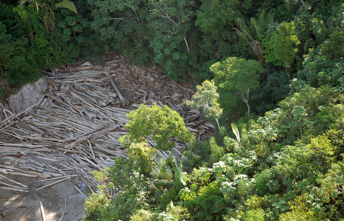 Foto: Arquivo/Agência Brasil/Foto: Arquivo/Agência Brasil Foto: Arquivo/Agência Brasil/Foto: Arquivo/Agência Brasil