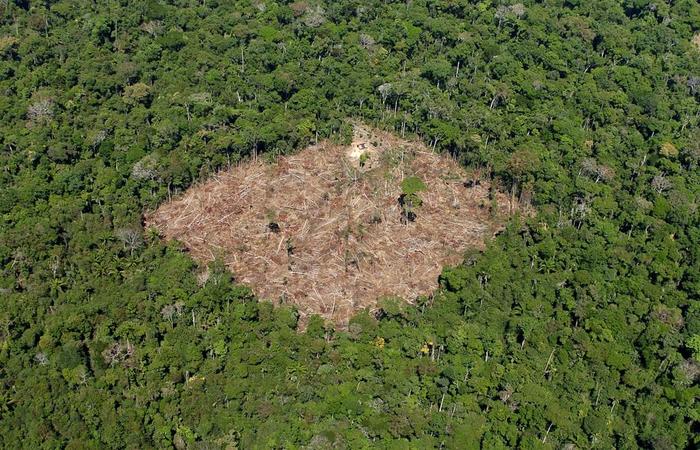 Foto: Jefferson Rudy/Arquivo AFP/ Foto: Jefferson Rudy/Arquivo AFP/