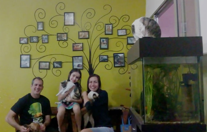 A arquiteta Silvana Farias e sua família cuidam de 11 gatos, cinco cães e cinco peixes. Foto: Divulgação/ A arquiteta Silvana Farias e sua família cuidam de 11 gatos, cinco cães e cinco peixes. Foto: Divulgação/