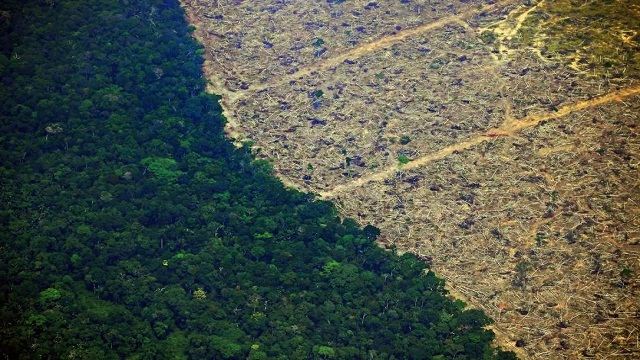 Foto: Carl de Souza / AFP/ Foto: Carl de Souza / AFP/