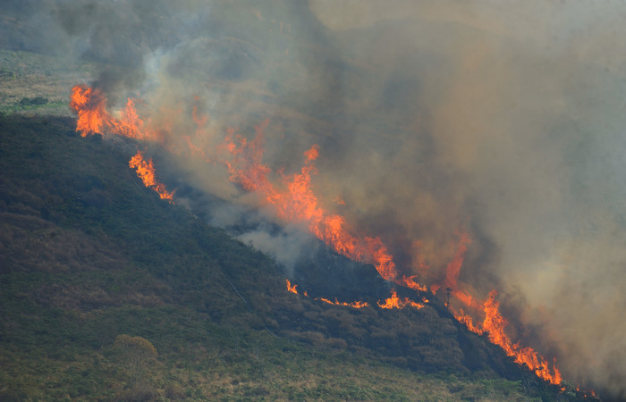 Foto: Fernando Frazão/Agência Brasil/ Foto: Fernando Frazão/Agência Brasil/