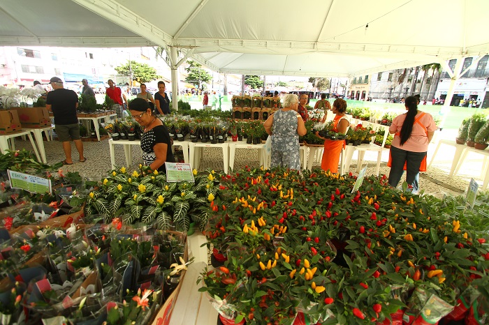 Foto: Peu Ricardo/DP/