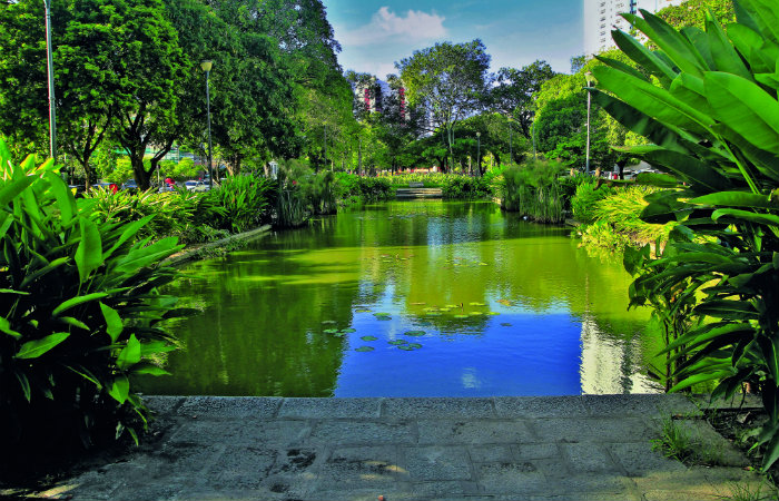 Praça de Casa Forte, o primeiro projeto paisagístico de Burle Marx no Recife. Foto: Sérgio Lôbo/Divulgação/ Praça de Casa Forte, o primeiro projeto paisagístico de Burle Marx no Recife. Foto: Sérgio Lôbo/Divulgação/