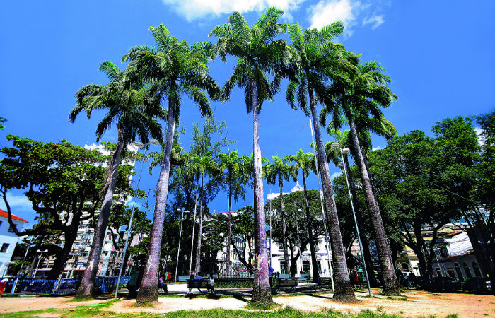 Praça do Arsenal. Foto: Sérgio Lôbo/Divulgação
