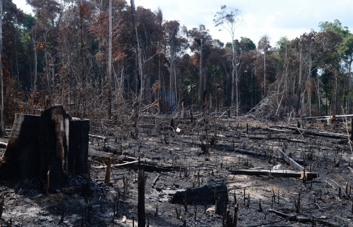 Foto: Arquivo/Agência Brasil/Foto: Arquivo/Agência Brasil