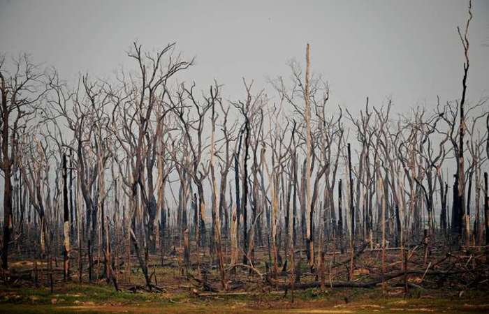Carl De Souza/AFP/ Carl De Souza/AFP/