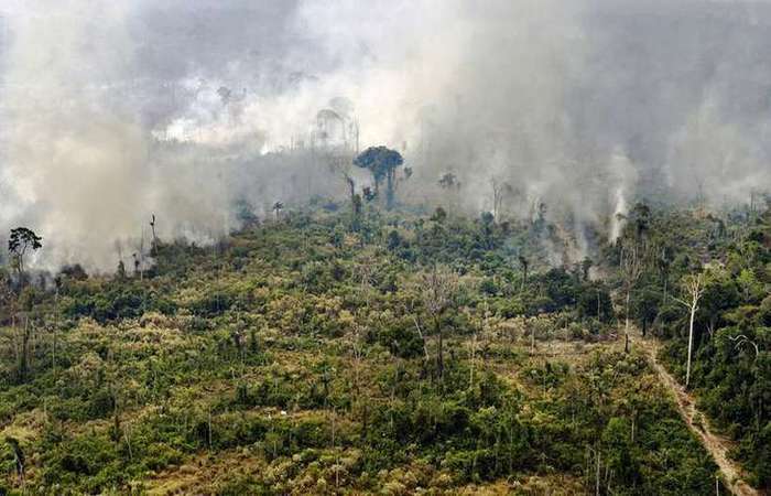 Foto: Carl de Souza/AFP/ Foto: Carl de Souza/AFP/