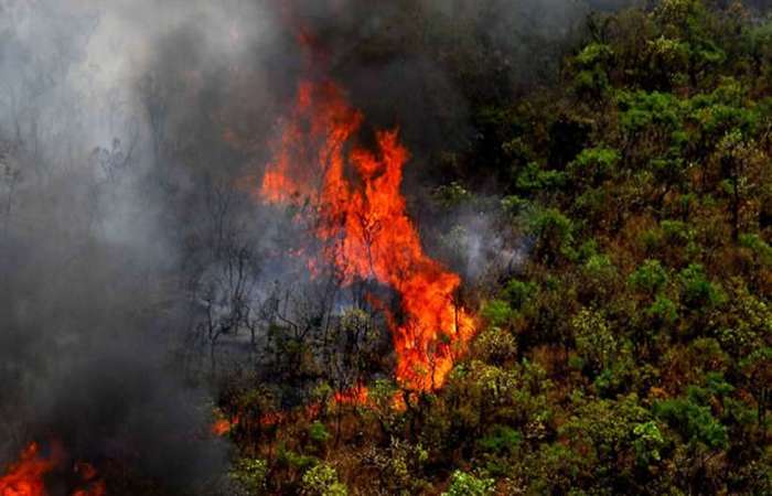 Queimadas na Amazônia chegam a um nível recorde em 2019.
Foto: Agência Minas