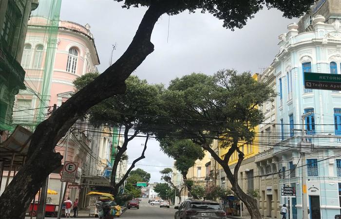 Foto: Marcionila Teixeira/DP/