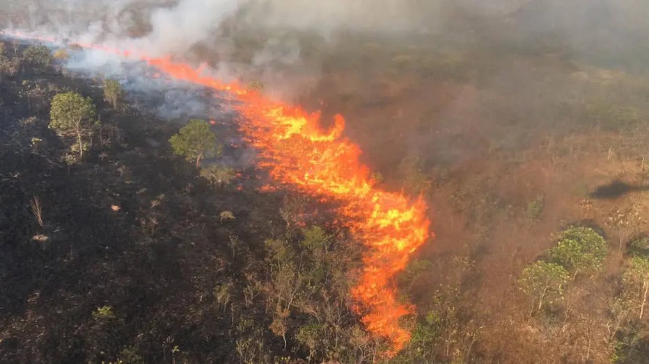 Nesta terça-feira (10), o governador do Mato Grosso, Mauro Mendes (DEM), decretou situação de emergência no estado devido ao aumento nos incêndios florestais - Créditos: Divulgação/Cipaer-MT./