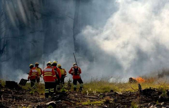 A chamada GLO ambiental autoriza o emprego das forças armadas em ações de combate a crimes ambientais e a incêndios na região amazônica - Foto: Carlos Vieira/CB/D.A Press./ A chamada GLO ambiental autoriza o emprego das forças armadas em ações de combate a crimes ambientais e a incêndios na região amazônica - Foto: Carlos Vieira/CB/D.A Press./