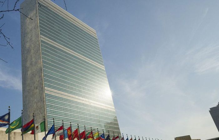 Divulgação/ONU News/ Divulgação/ONU News/