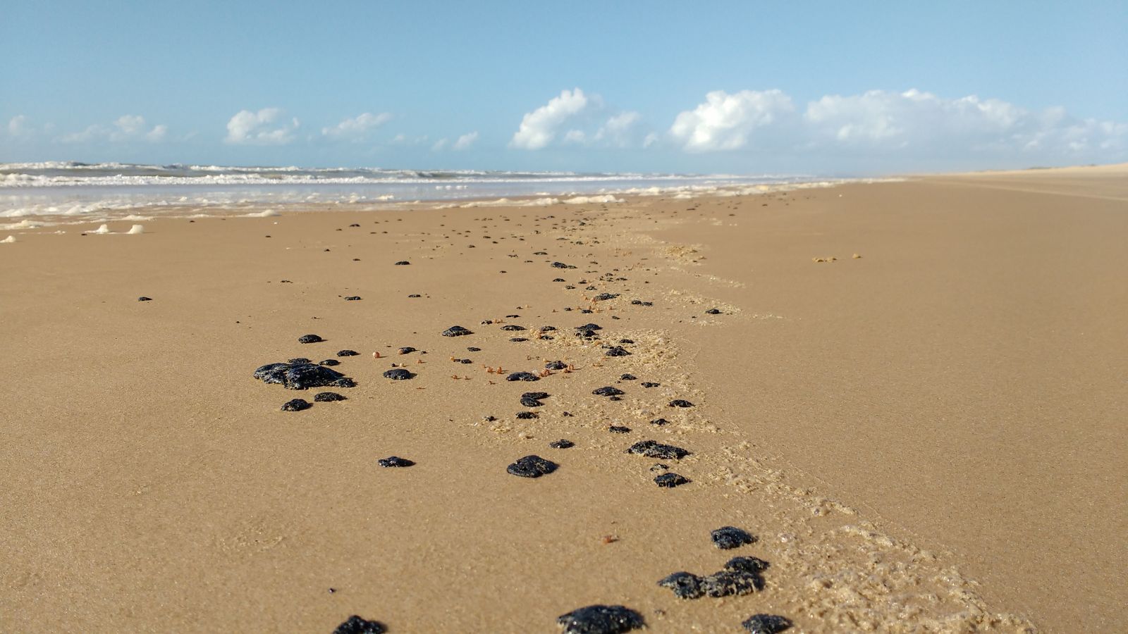 Manchas de Óleo registradas em uma praia de Sergipe em 2016 - Foto: Banco de Imagens/Ibama/